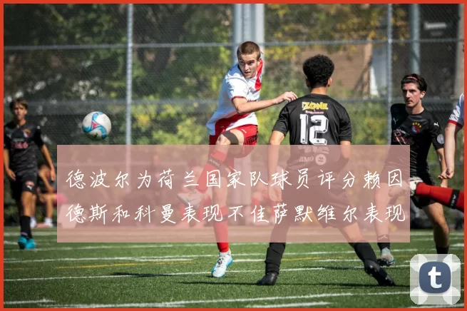 德波尔为荷兰国家队球员评分赖因德斯和科曼表现不佳萨默维尔表现最佳